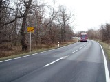 Hochwasserschadensbeseitigung am rechtsseitigen Elbedeich und der B 183